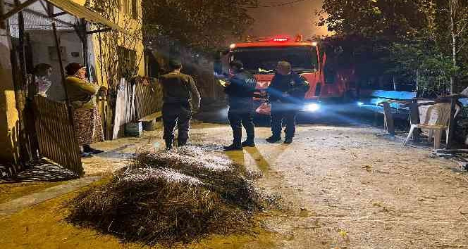 Ordu’da samanlık yangını