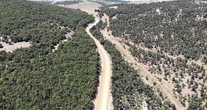 Özükavak beldesinde 5 kilometrelik yayla yolu kullanıma açıldı