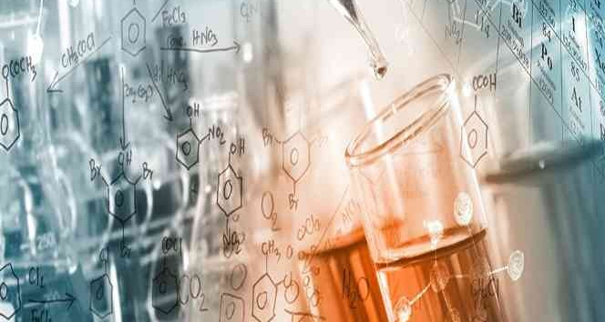 Ahi Evran Üniversitesi öğrencilerinden proje başarısı