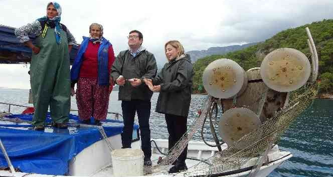 Muğla’da Dünya Balıkçılık Günü denizde kutlandı