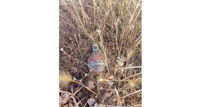 Bingöl’de el bombası ve mayın imha edildi