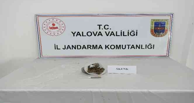 Yalova’da jandarmadan uyuşturucu operasyonları: 6 gözaltı