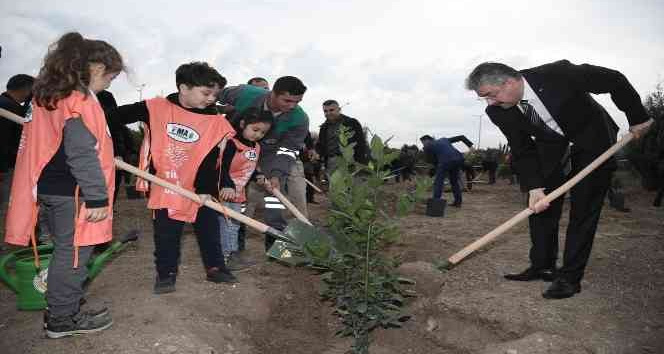 Şehit öğretmen Ayşenur Alkan adına fidan dikildi