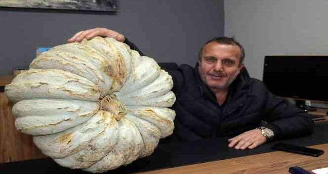 Gençlere örnek olmak için kabak ekti 200 bin TL gelir elde etti