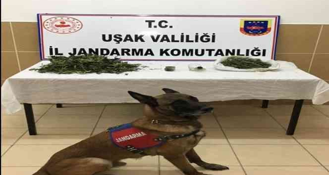 Uşak’ta 2 uyuşturucu taciri tutuklandı
