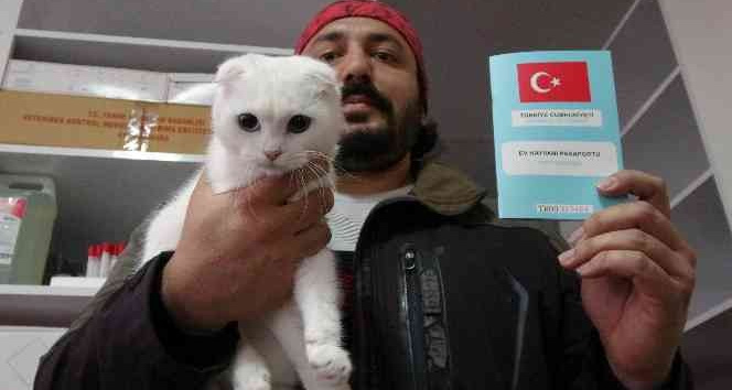 Kedi ve köpek sahipleri dikkat, yasal süre 31 Aralık’ta doluyor