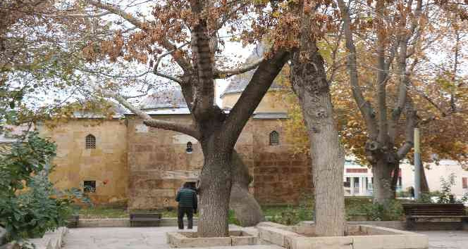 Ahi Evran Türbesinde sonbahar mest etti, tavsiyeleri 800 yıldır yaşıyor