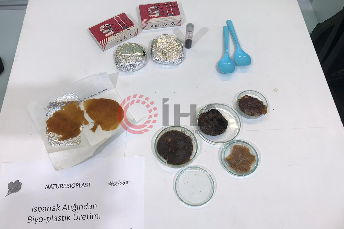 Üniversiteli genç bilim adamı ıspanaktan plastik üretti