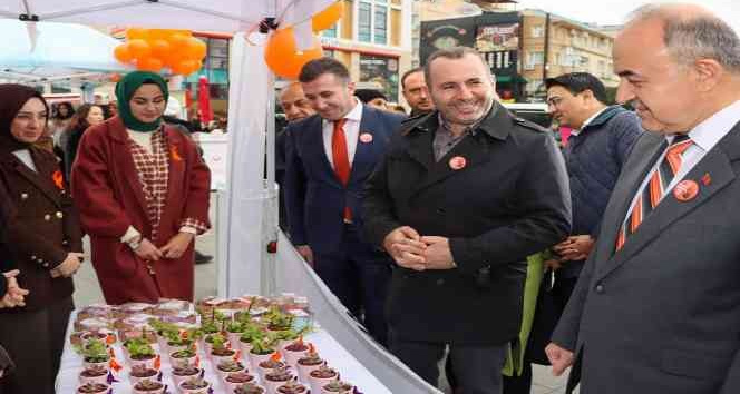 Yalova’da kadına yönelik şiddete karşı farkındalık oluşturan etkinlik