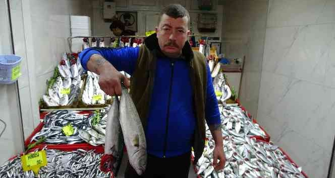 Lüfer ve palamut cep yakıyor