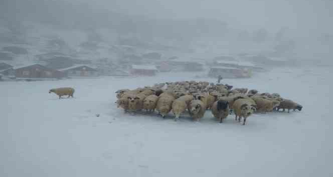Tokat’ta yaylalar beyaza büründü