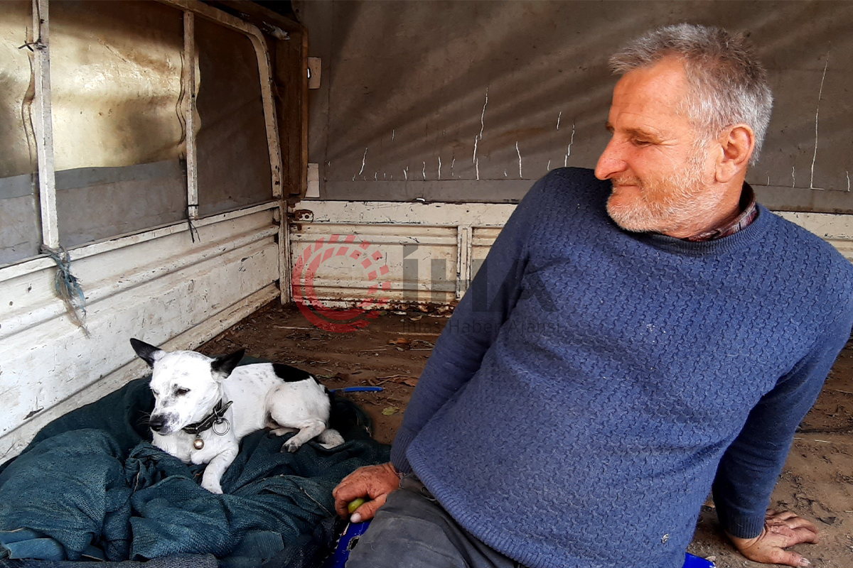 Yanından ayırmadığı Atlas'ını kaybetti