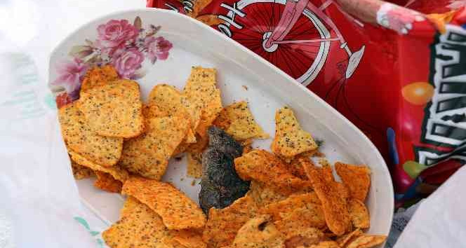 Doğum günü kutlayacaklardı, cips paketinin içinden fare ölüsü çıkınca şoke oldular