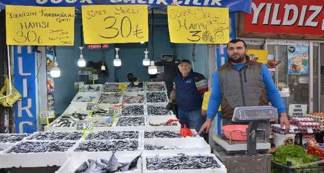 Ordu’da tezgahlarda hamsi bolluğu: Fiyatı 30 liraya düştü