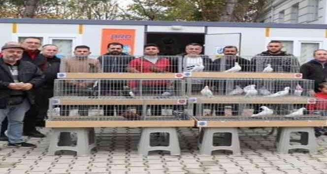 2022’nin en güzel dolapçı güvercinleri belirlendi