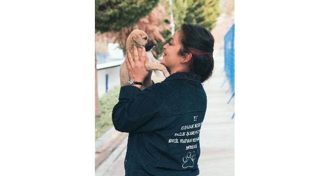 Kuşadası’ndaki hayvan rehabilitasyon merkezi internetten canlı olarak izlenebiliyor