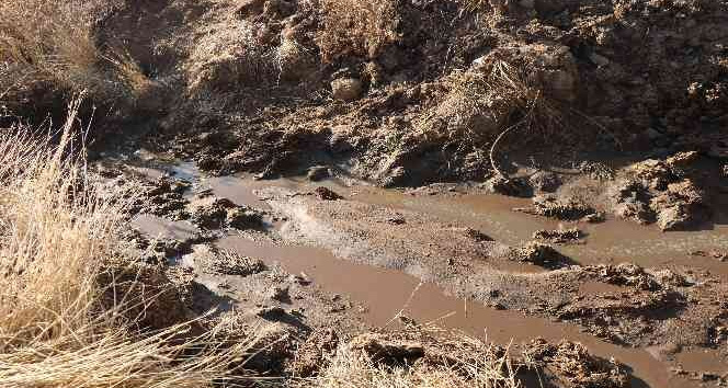 Mandıra atıklarından rahatsız olan çiftçi isyan etti