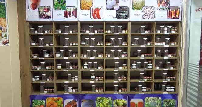 Ata tohumları muhafaza ediliyor