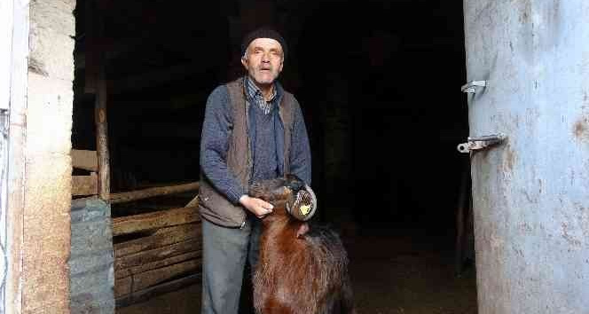 Kilisenin sahipleri: “Babamızdan miras kalan kilise tapulu malımızdır, burası tescili bir yapı olduğu için yıkamıyoruz"