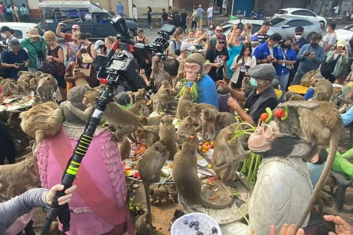 Tayland’da Maymun Festivali düzenlendi