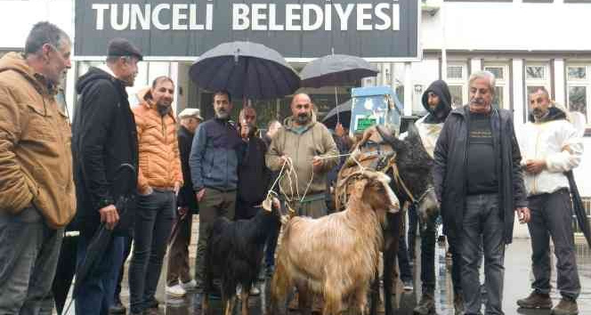 Köylüler belediye önüne eşek, keçi ve arılar ile gelip tepki gösterdi