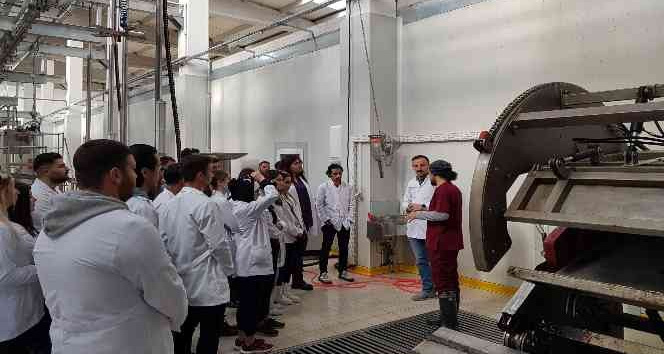 NEVÜ’lü  veteriner adaylarından Et Entegre Tesisine teknik gezi