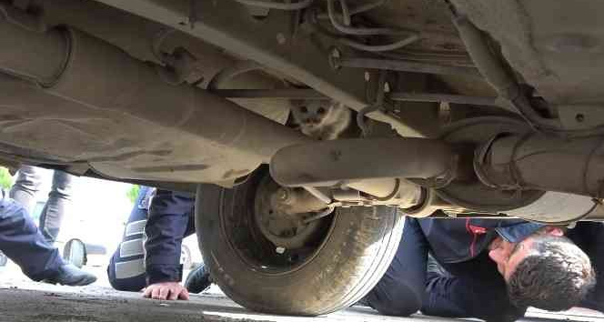 Otomobilin motor kısmına girdi, dönerin kokusunu alınca çıktı