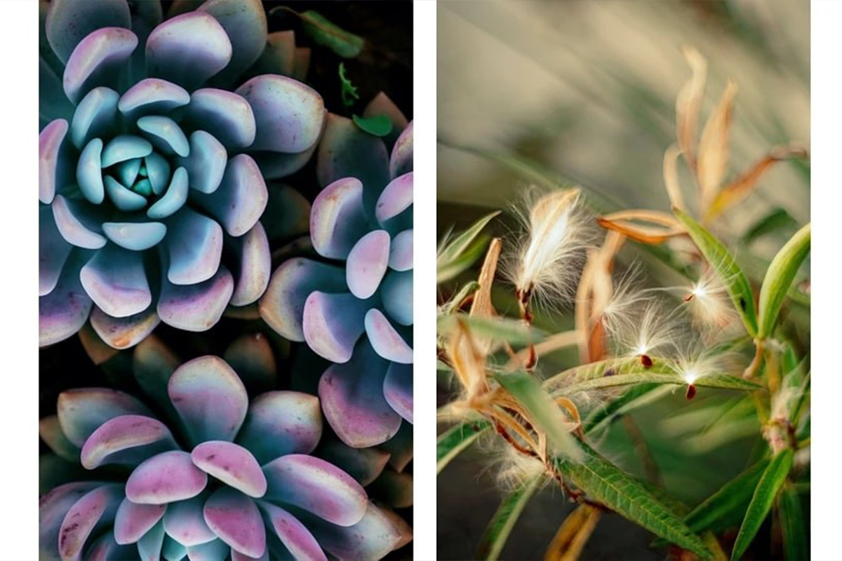 Elif Koyutürk, ‘Saf ve Güzel’ isimli yeni seçkisiyle, SanatBurada’da