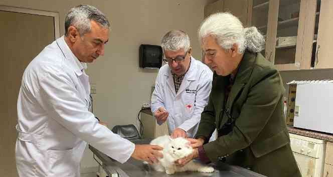 Parıldar’dan sahipli kedi ve köpekler için çip zorunluluğu uyarısı