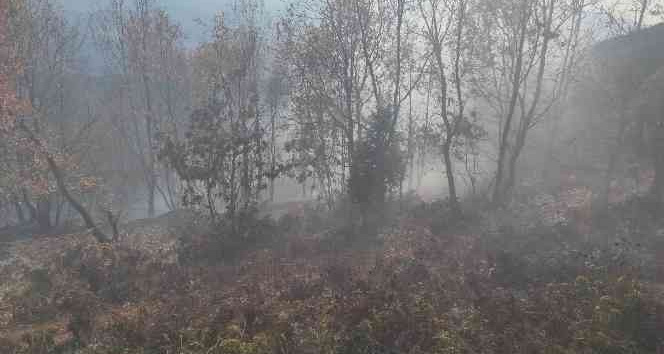 Osmaniye’de 1 dönümlük meşelik alan yandı