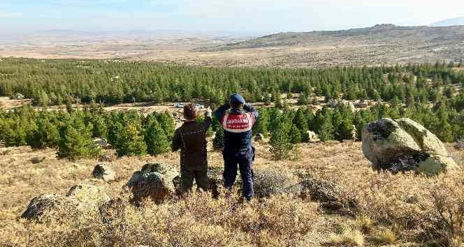 Aksaray’da jandarma Anadolu Yaban Koyunlarını dron ile takip ediyor