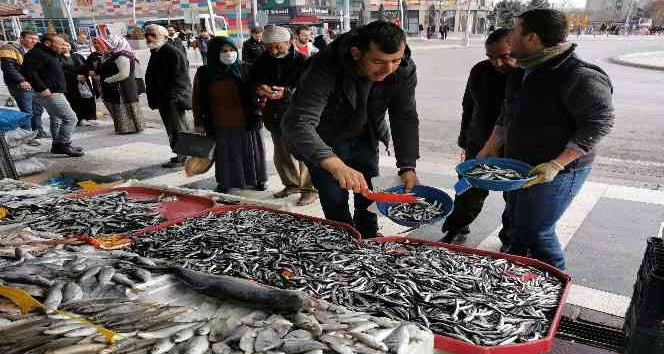 Tezgahlardaki balık bolluğu esnaf ve vatandaşın yüzünü güldürdü