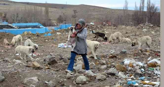 İki arkadaş hayatlarını can yoldaşlarına adadı