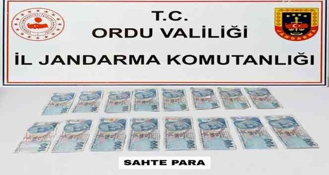 Ordu’da sahte para operasyonu