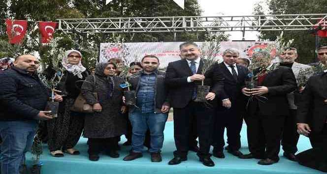 Osmaniye’de zeytincilik gelişiyor