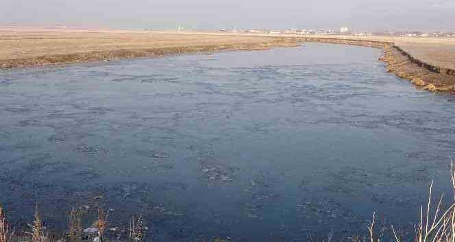 Kura Nehri dondu