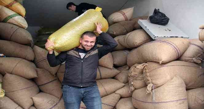 Fındık fiyatı yükselişini sürdürüyor