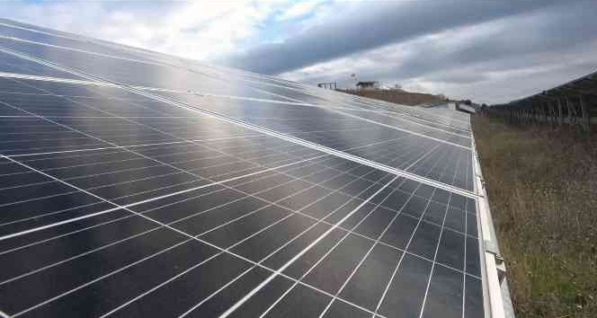 Doğu Karadeniz’in en büyük güneş enerji santrali tam kapasite üretime başladı