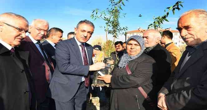 Karaman’da çiftçilere 80 bin adet fidan dağıtıldı