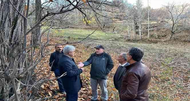 Bitlis’te kestane üretiminde verimi arttırma çalışmaları sürüyor