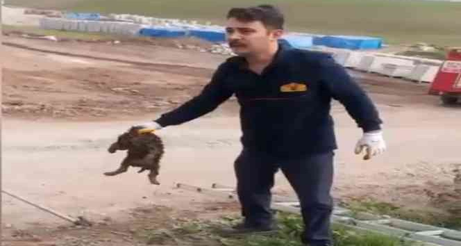 Osmaniye’de kanalizasyona düşen köpek kurtarıldı