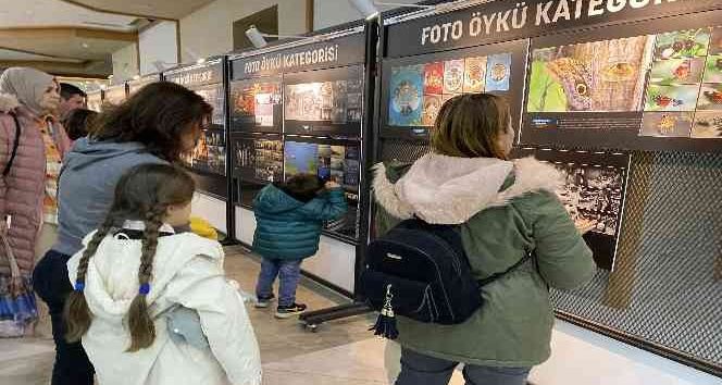 Beykoz Belediyesi 4. Fotoğraf Yarışması’nda ödüller sahiplerini buldu