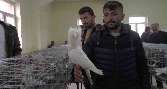 Kapadokya’da süslü kuşlar görücüye çıktı