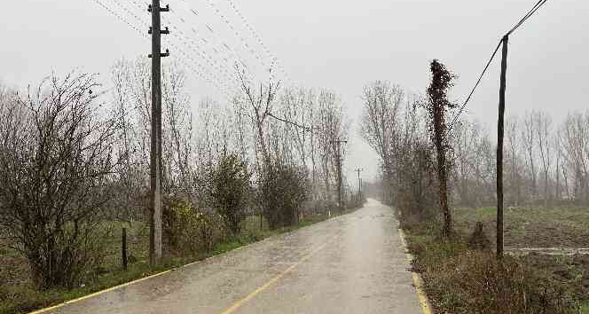 Çan’da fırtına nedeniyle ağaç dalı yüksek gerilim hattı üstüne devrildi