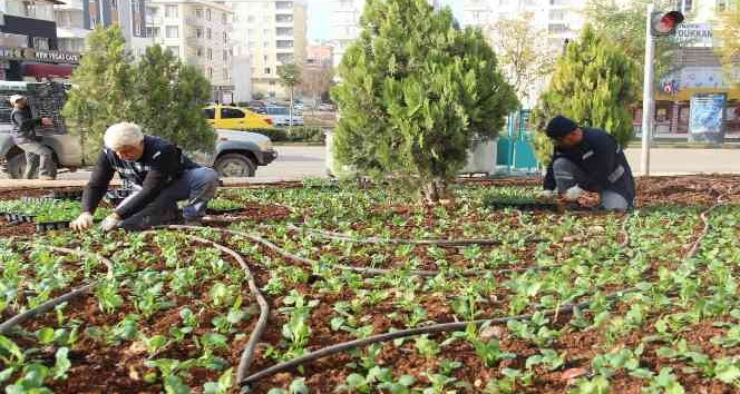 Kilis’te sokaklara kış bakımı