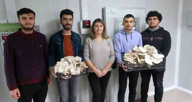 Hem üreticilere hem de öğrencilere mantar eğitimi