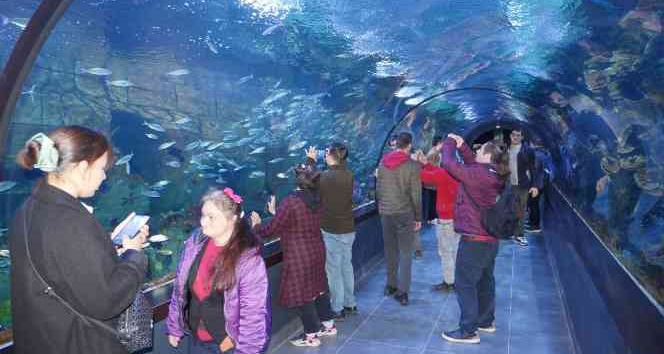 Özel gereksinimli bireyler su altı canlıları ile tanıştı