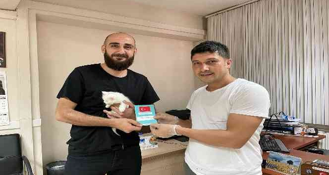 Siirt’te 249 kedi ve köpek mikroçip uygulaması ile kayıt altına alındı