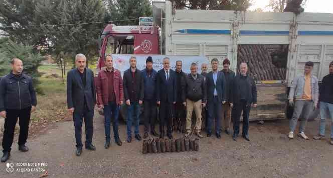 Batman’da 150 bin adet Antep fıstığı fidanı dağıtıldı