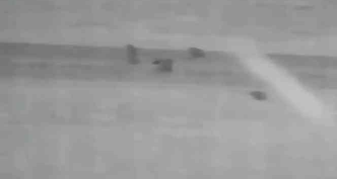 Aç kalıp yola inen ayılar kameralar tarafından görüntülendi